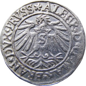 Prusy Książęce, Albrecht, grosz pruski 1538, Królewiec