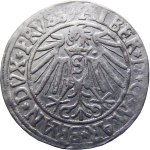 Prusy Książęce, Albrecht, grosz pruski 1541, Królewiec