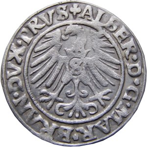 Prusy Książęce, Albrecht, grosz pruski 1546, Królewiec