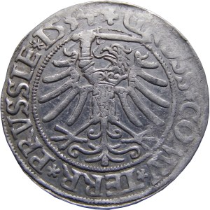 Zygmunt I Stary, grosz 1534, Toruń, PRVSS/PRVSSIE