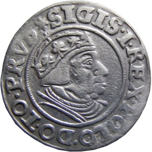 Zygmunt I Stary, grosz 1539, Gdańsk, PRVS, CIEKAWY