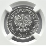 Polska, PRL, 1 złoty 1981, IDEALNE, NGC MS64PL