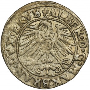 Prusy Książęce, Albrecht Hohenzollern, Grosz Królewiec 1548 - RZADKI