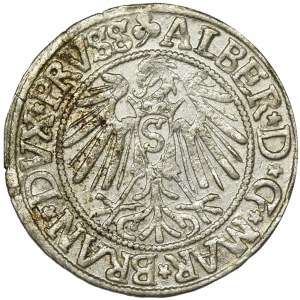 Duchy of Prussia, Albrecht Hohenzollern, Groschen Królewiec 1542