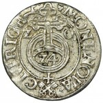 Sigismund III Vasa, 3 Polker Riga 1620 - RARE