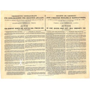 Grodzieckie Towarzystwo Kopalń Węgla i Zakładów Przemysłowych - 187,5 rubla