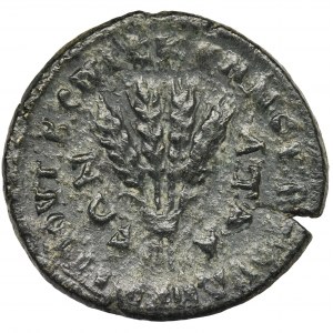 Roman Provincial, Phrygia, Apameia, Antoninus Pius, AE24