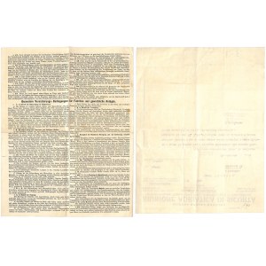 Dokumenty ubezpieczeniowe - dekoracyjna grafika