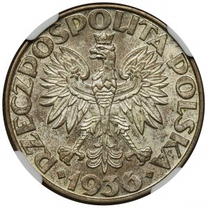 Żaglowiec, 2 złote 1936 - NGC MS64 - PIĘKNA