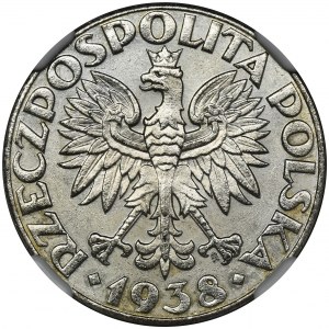 Generalna Gubernia, 50 groszy 1938 - NGC MS63 - WZÓR, niklowane