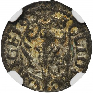 Zygmunt III Waza, Szeląg Ryga 1619 - NGC AU53