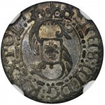 Zygmunt III Waza, Szeląg Ryga 1615 - NGC AU55