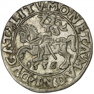 Zygmunt II August, Półgrosz Wilno 1556 - L/LITV - RZADKI