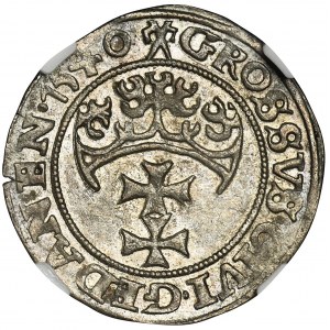 Sigismund I the Old, Groschen Danzig 1540 - NGC MS61