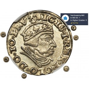 Sigismund I the Old, 3 Groschen Danzig 1540 - NGC MS63