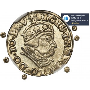 Zygmunt I Stary, Trojak Gdańsk 1540 - NGC MS63 - nienotowana interpunkcja