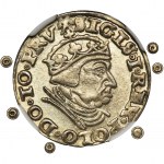 Sigismund I the Old, 3 Groschen Danzig 1540 - NGC MS63