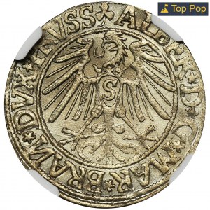 Duchy of Prussia, Albrecht Hohenzollern, Groschen Königsberg 1544 - NGC MS63