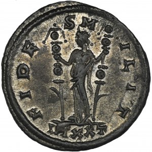 Roman Imperial, Probus, Antoninianus