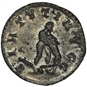 Roman Imperial, Maximianus Herculius, Antoninianus