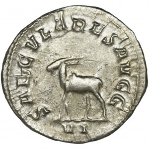 Roman Imperial, Philip I, Antoninianus - BEAUTIFUL