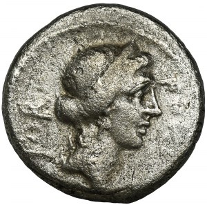 Republika Rzymska, Q. Sicinius, Denar