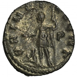 Roman Imperial, Saloninus, Antoninianus - VERY RARE