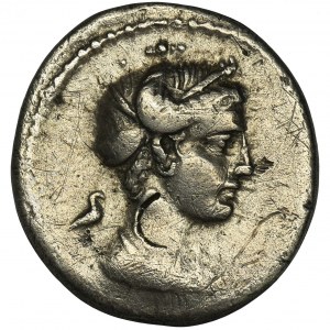 Republika Rzymska, M. Plaetorius M.f. Cestianus, Denar - RZADKI