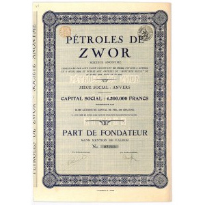 Petroles de Zwor - udział założycielski