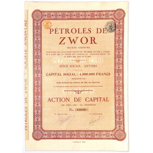 Petroles de Zwor - akcja na 100 franków
