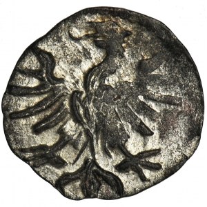 Sigismund I the Old, Denarius Krakau undated