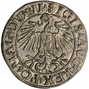 Zygmunt II August, Półgrosz Wilno 1549 - LI/LITVA
