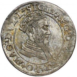 Zygmunt II August, Czworak Wilno 1566 - L/LIT