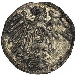 Duchy of Prussia, Albert Hohenzollern, Denarius undated Konigsberg