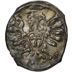 Sigismund III Vasa, Denarius Posen 1608 - VERY RARE