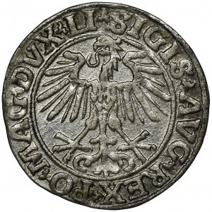 Sigismund II August, 1/2 Groschen Vilnius 1551 - LI/LITVA