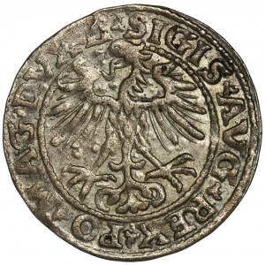 Zygmunt II August, Półgrosz Wilno 1552 - LI/LITVA - RZADSZY