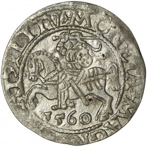 Sigismund II August, 1/2 Groschen Vilnius 1560 - L/LITV