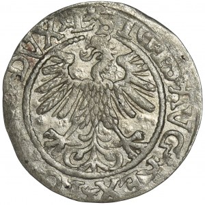 Zygmunt II August, Półgrosz Wilno 1560 - L/LITV