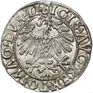 Sigismund II August, 1/2 Groschen Vilnius 1558 - LI/LITV