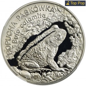 20 złotych 1998 Ropucha Paskówka - NGC PF70 ULTRA CAMEO