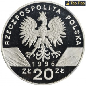 20 złotych 1996 Jeż - NGC PF70 ULTRA CAMEO