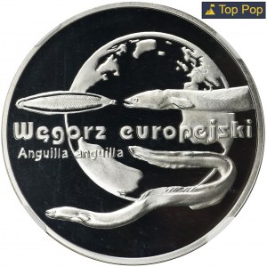 20 złotych 2003 Węgorz europejski - NGC PF70 ULTRA CAMEO