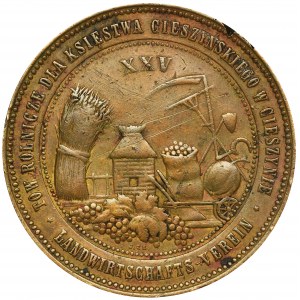 Śląsk, Cieszyn, Medal Wystawa Jubileuszowa w Cieszynie 1893 - RZADKI