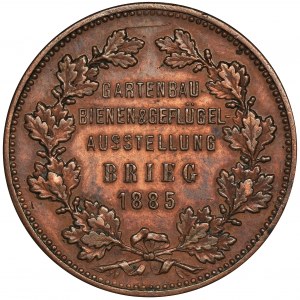 Silesia, Brieg, Medal of the Exhibition 1885