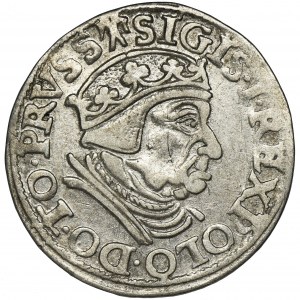 Zygmunt I Stary, Trojak Gdańsk 1538 - PRVSS