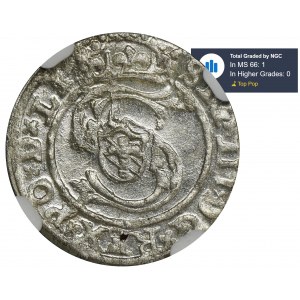 Sigismund III Vasa, Schilling Riga 1598 - NGC MS66