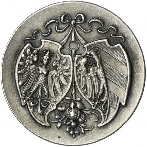 Germany, City of Nürnberg, Medal 1899 - RARE