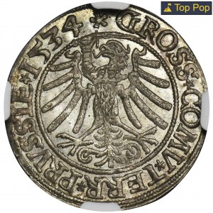 Sigismund I the Old, Groschen Thorn 1534 - NGC MS63 - PRVSSIE