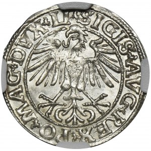 Sigismund II August, 1/2 Groschen Vilnius 1550 - NGC MS64